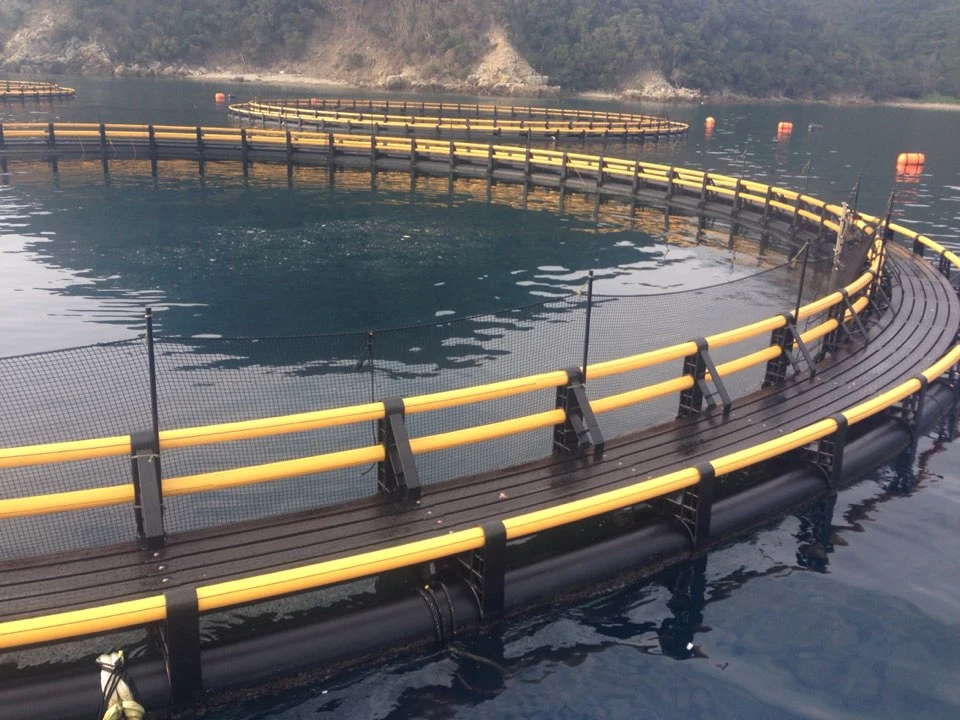 HDPE Floating Round Cage Fish Farming